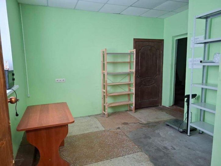 Торговое помещение Лукса ул., д.10А